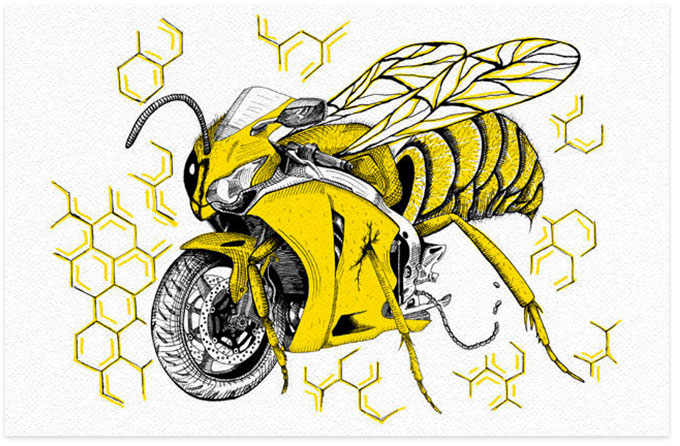 Wasp Bike